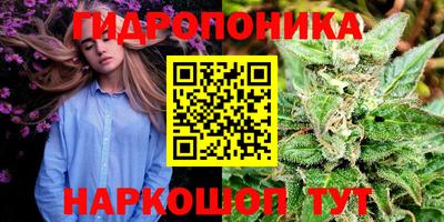 дживик Канаш