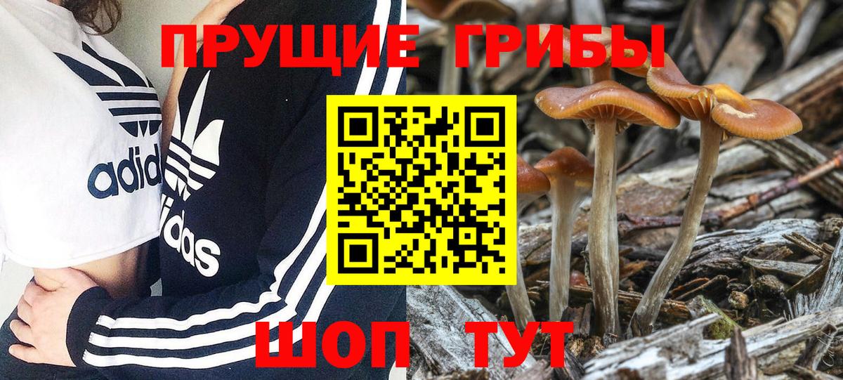 Галлюциногенные грибы мухоморы Кудымкар