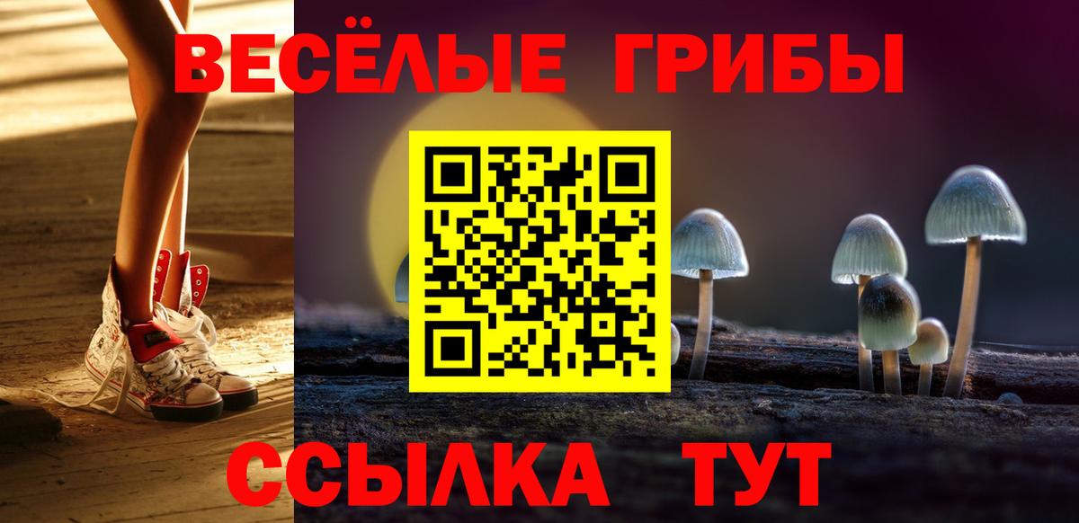 Кудымкар  как найти закладки  Вход с VPN  Галлюциногенные грибы GOLDEN TEACHER 
